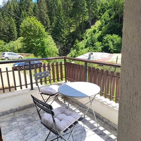 за гости александър Apartamento