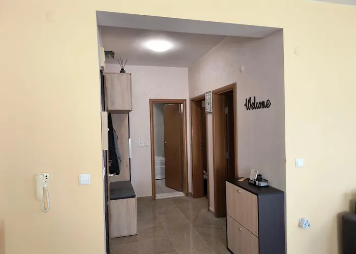 за гости александър * צ'פלארה