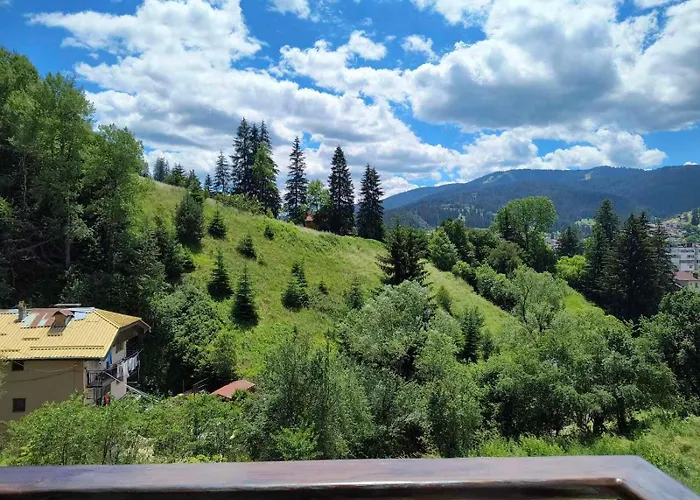 за гости александър * צ'פלארה