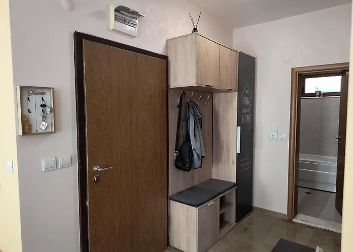 за гости александър צ'פלארה