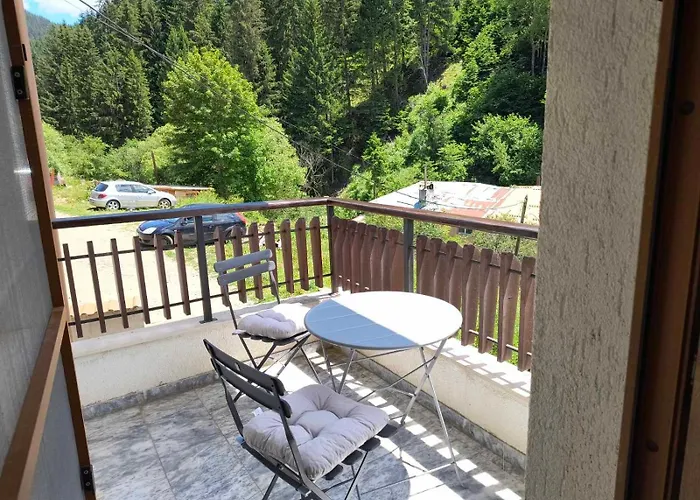 за гости александър דירה